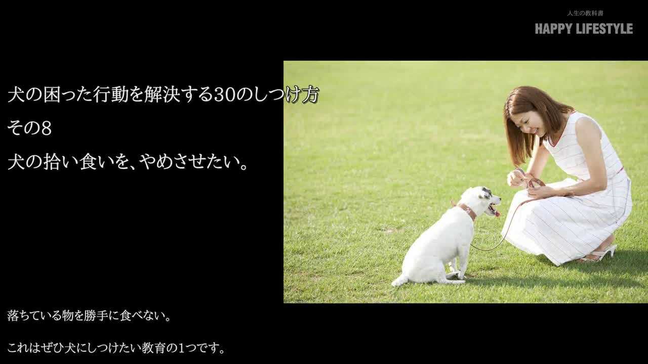 犬の拾い食いを やめさせたい 犬の困った行動を解決する30のしつけ方 Happy Lifestyle