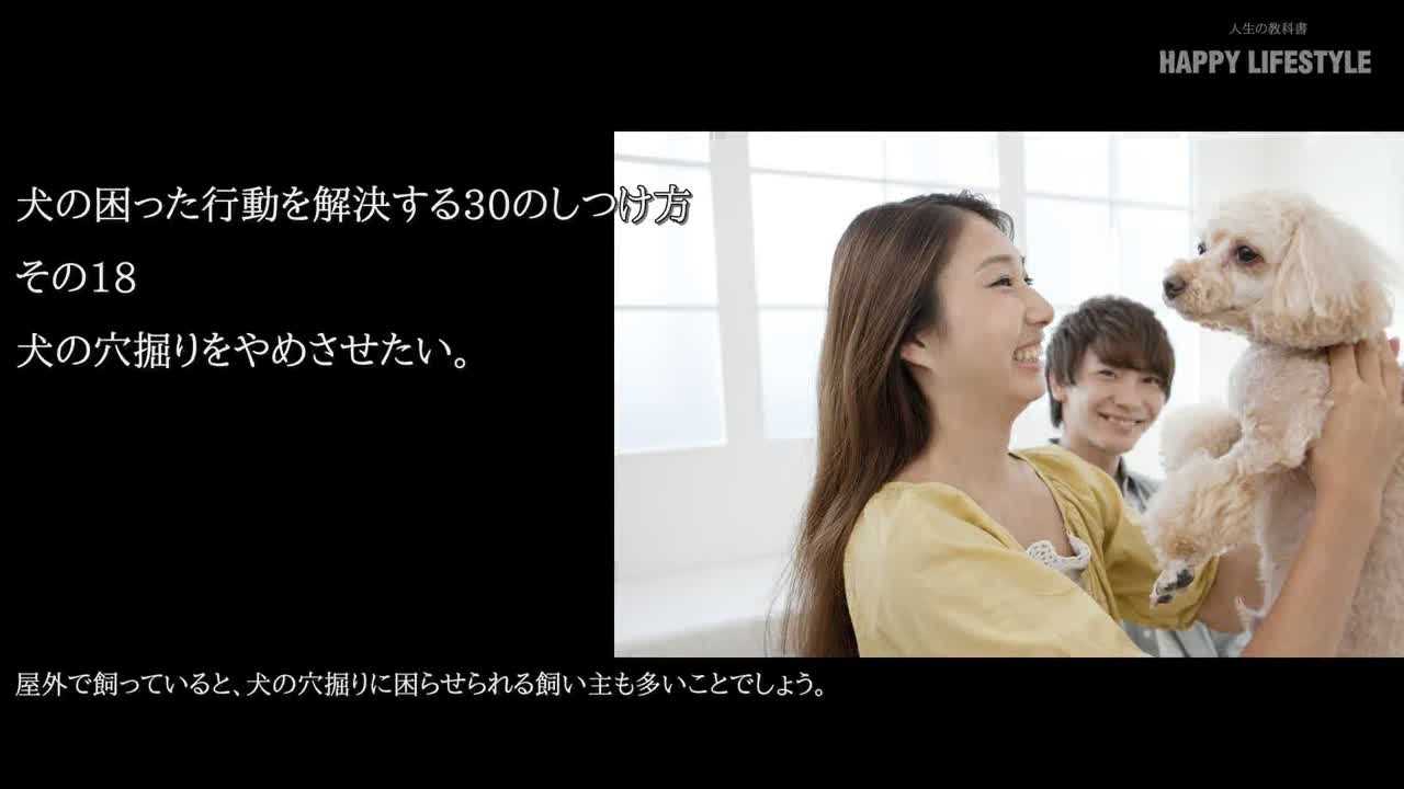 犬の穴掘りをやめさせたい 犬の困った行動を解決する30のしつけ方 Happy Lifestyle