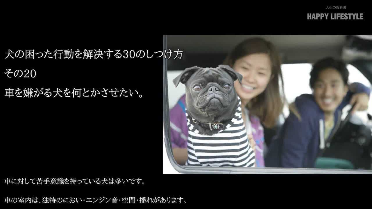 車を嫌がる犬を何とかさせたい 犬の困った行動を解決する30のしつけ方 Happy Lifestyle