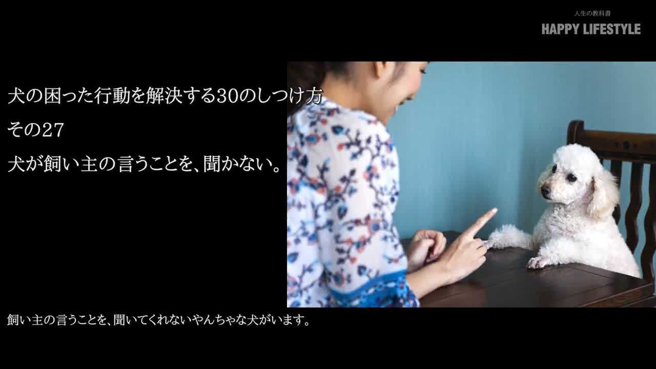 犬が飼い主の言うことを 聞かない 犬の困った行動を解決する30のしつけ方 Happy Lifestyle