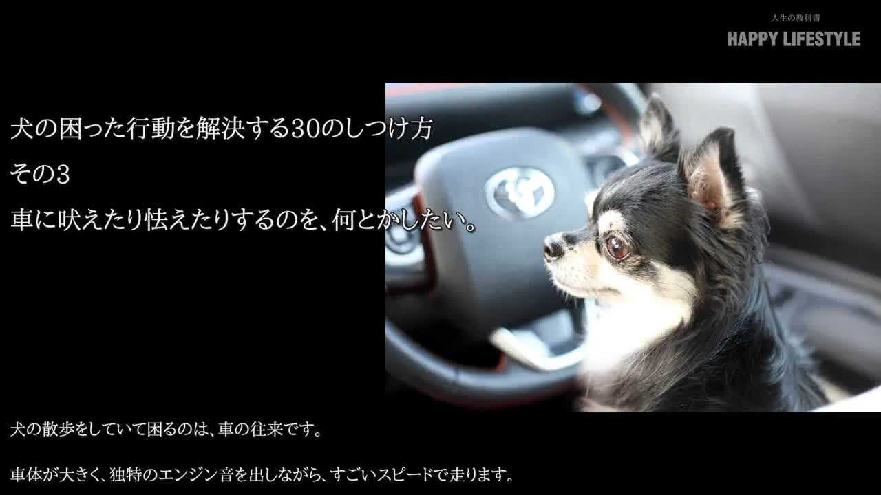 車に吠えたり怯えたりするのを 何とかしたい 犬の困った行動を解決する30のしつけ方 Happy Lifestyle