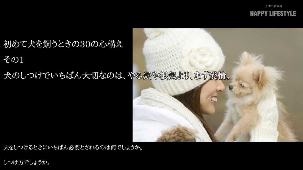 初めて犬を飼うときの30の心構え Happy Lifestyle
