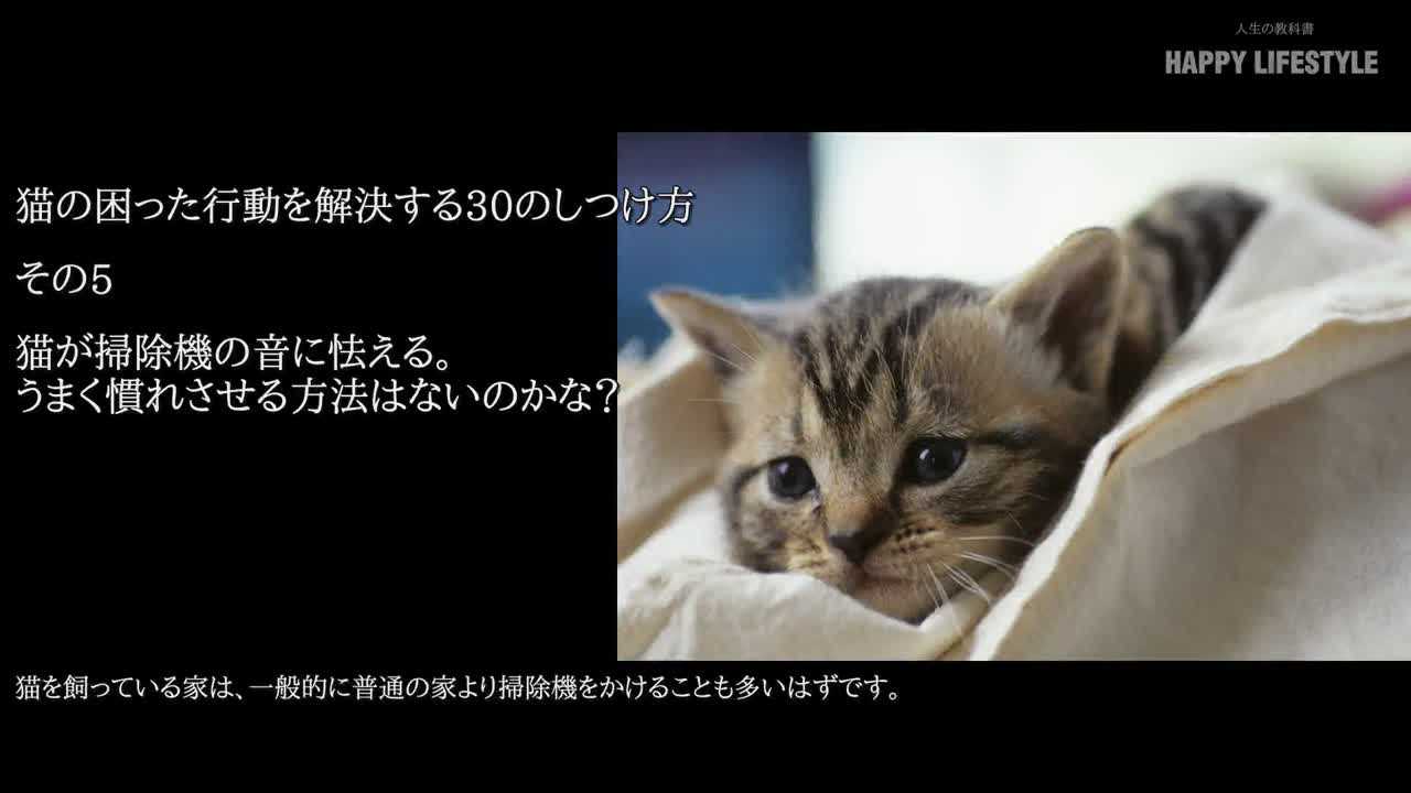 猫が掃除機の音に怯える うまく慣れさせる方法はないのかな 猫の困った行動を解決する30のしつけ方 Happy Lifestyle