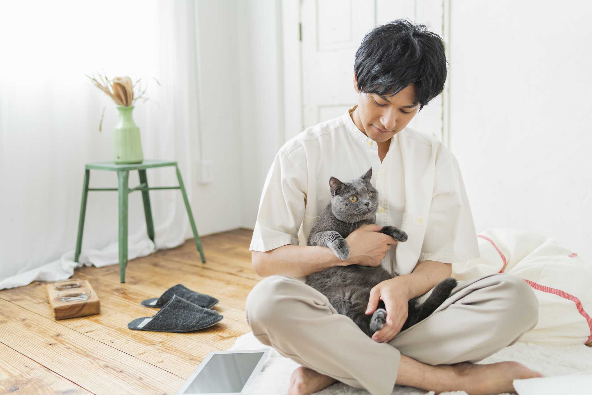 きちんと猫をしつけるとき 叩いたり大声で叱ったりしたほうがいいのか 猫の困った行動を解決する30のしつけ方 Happy Lifestyle