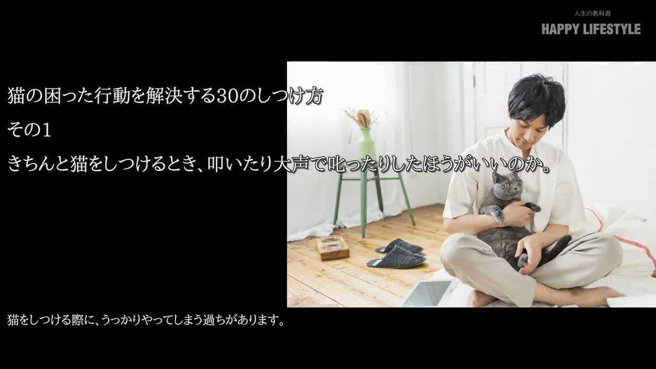 きちんと猫をしつけるとき 叩いたり大声で叱ったりしたほうがいいのか 猫の困った行動を解決する30のしつけ方 Happy Lifestyle