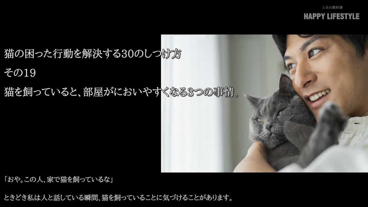 猫を飼っていると 部屋がにおいやすくなる3つの事情 猫の困った行動を解決する30のしつけ方 Happy Lifestyle