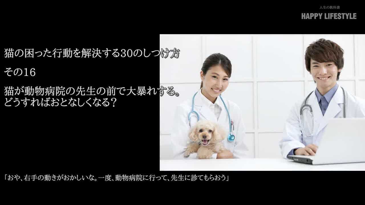 猫が動物病院の先生の前で大暴れする。どうすればおとなしくなる 