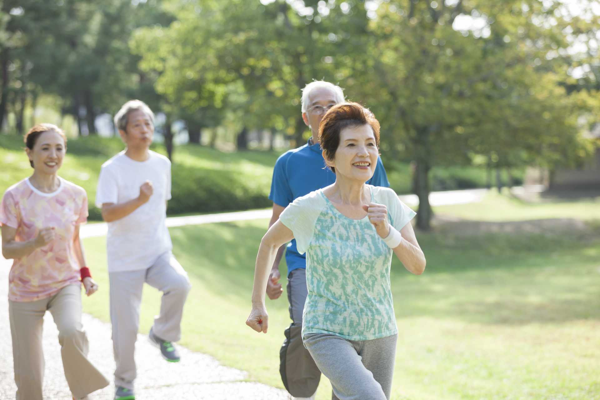 歩くことは、若々しい体と脳を保つ方法である。 | 散歩の楽しみ方に気づく30のポイント